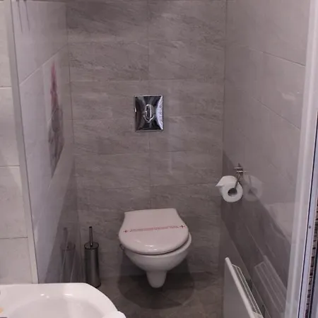 Апартаменты Central-lux 1 *