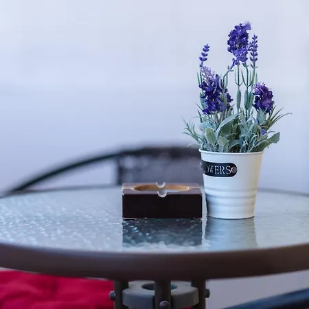 Central-lux 1 Апартаменты Велико-Тырново